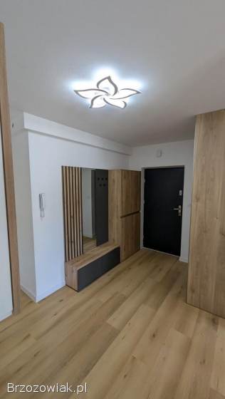 Mieszkanie do wynajęcia