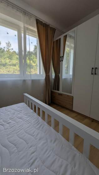 Mieszkanie do wynajęcia