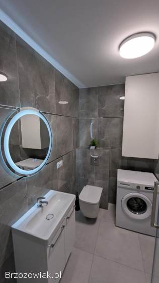 Mieszkanie do wynajęcia