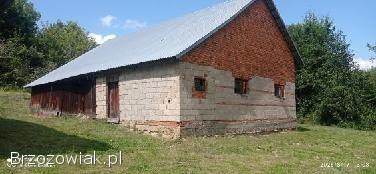 Sprzedam nieruchomość w miejscowości Borówki