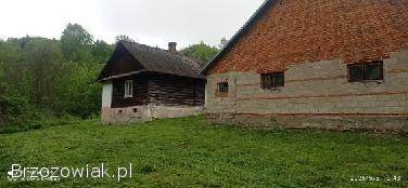 Sprzedam nieruchomość w miejscowości Borówki