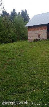 Sprzedam nieruchomość w miejscowości Borówki