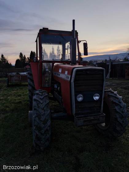 Ciągnik Massey ferguson 298