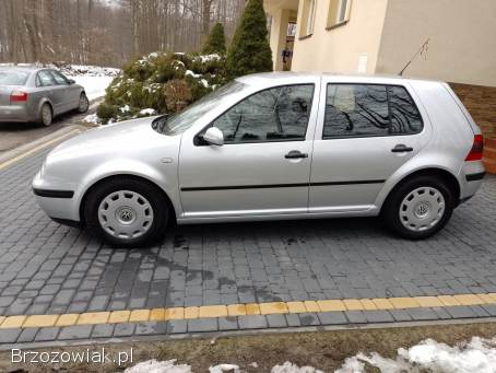 Volkswagen Golf IV 2002