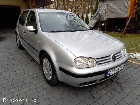 Volkswagen Golf IV 2002