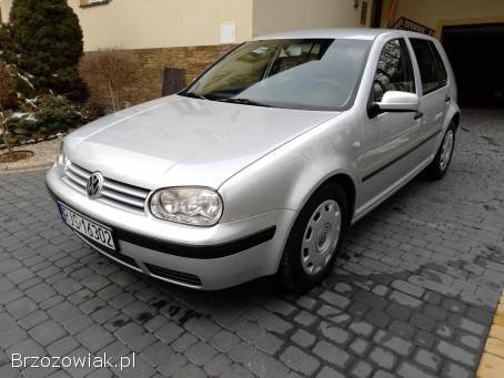 Volkswagen Golf IV 2002