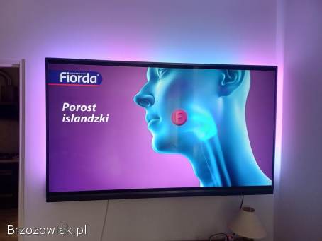 Telewizor TV Philips 65 cali