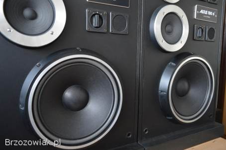 Altus 100 Eksportowe HGS Electronic Po Renowacji Idealne Wysyłka