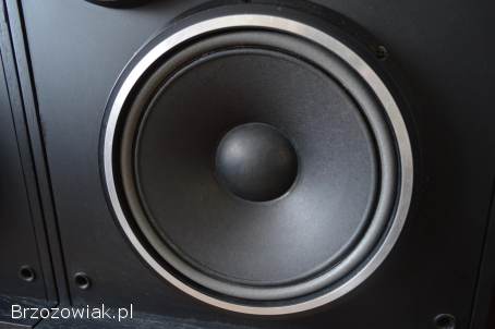 Altus 100 Eksportowe HGS Electronic Po Renowacji Idealne Wysyłka