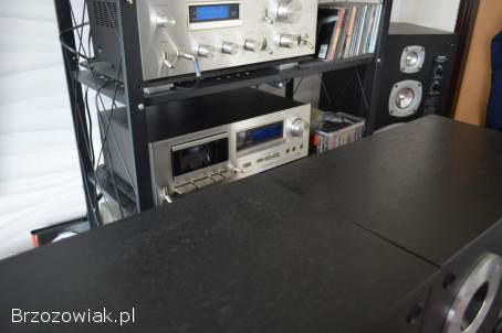 Altus 100 Eksportowe HGS Electronic Po Renowacji Idealne Wysyłka