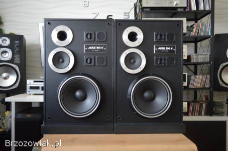 Altus 100 Eksportowe HGS Electronic Po Renowacji Idealne Wysyłka