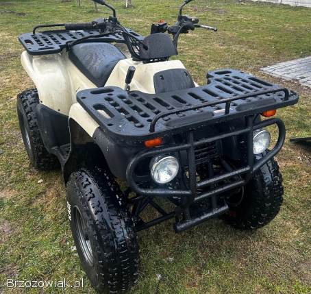 Quad Reinmech mt 175 -  duży!  bdb stan!