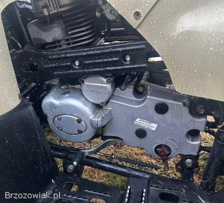 Quad Reinmech mt 175 -  duży!  bdb stan!