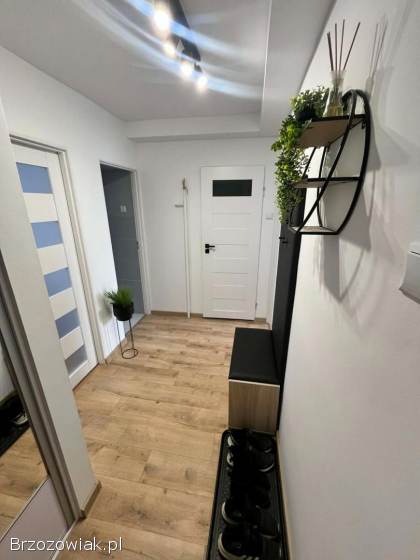 Mieszkanie,  3 pokojowe,  po remoncie.