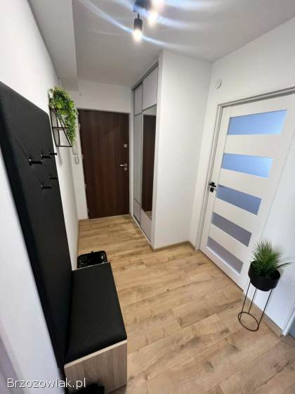 Mieszkanie,  3 pokojowe,  po remoncie.