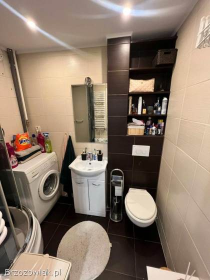 Mieszkanie,  3 pokojowe,  po remoncie.