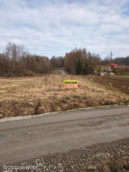 Działka rolna Jakla Mała Brzozów 33ar