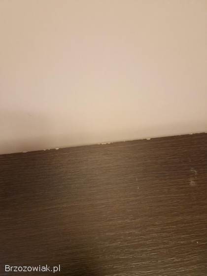 Używana szafka pod tv z serii CEZAR