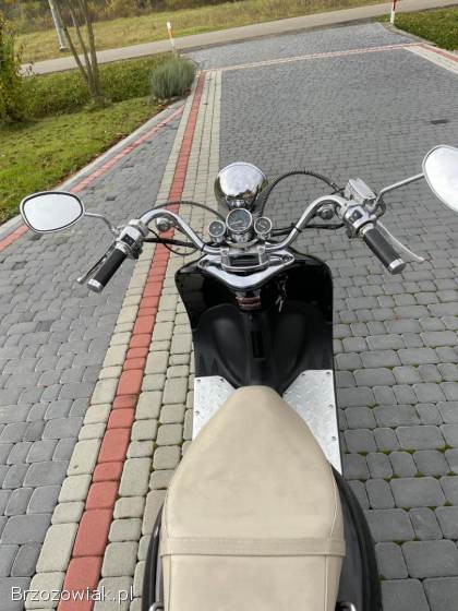 Znen  Retro Znen  2009