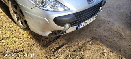 Peugeot 307 2007