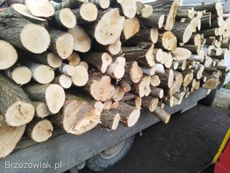 Sprzedam drewno opałowe wierzba w metrach 150zl z transportem