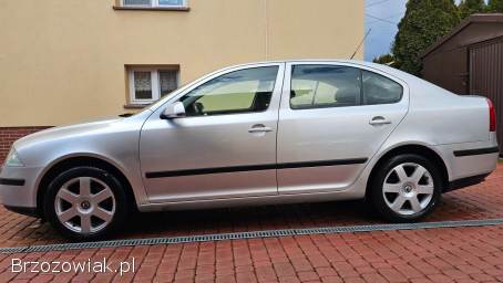 Škoda Octavia 2.  0TDI 140KM 2006