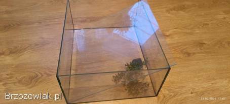 Akwarium 30 litrów (19x45x35) + przykrywka