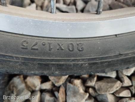 Przyczepka do roweru hol