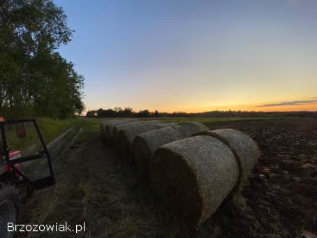 Sprzedam jęczmienną słomę