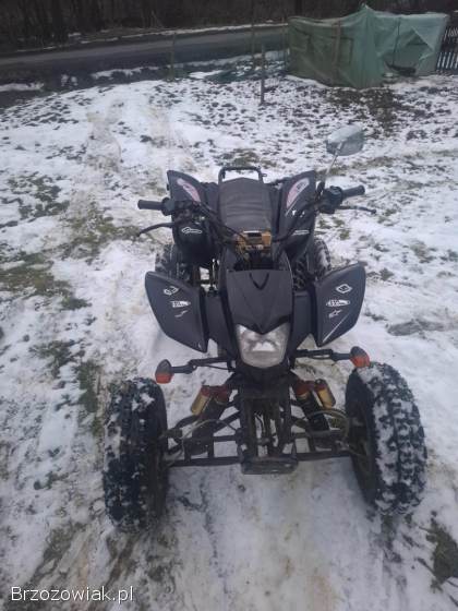 Quad bashan 200