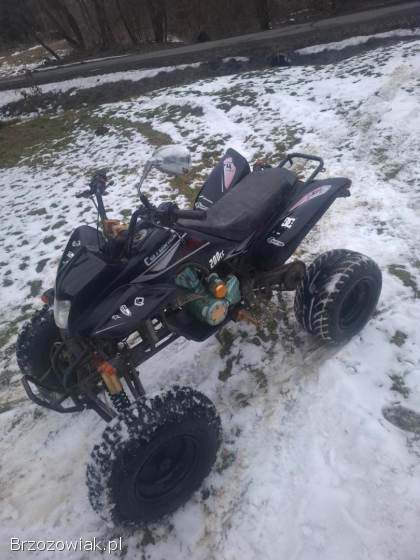 Quad bashan 200