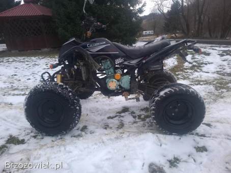 Quad bashan 200