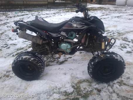 Quad bashan 200