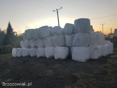 Sianokiszonka w belach 120