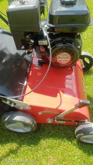 Wertykulator spalinowy Einhell