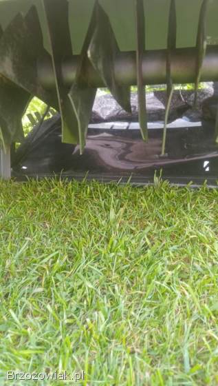 Wertykulator spalinowy Einhell