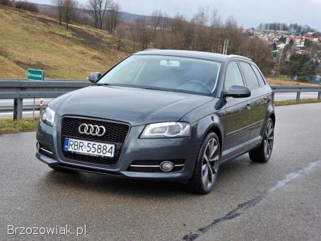 Audi A3 8p Lift Bixenon  2011
