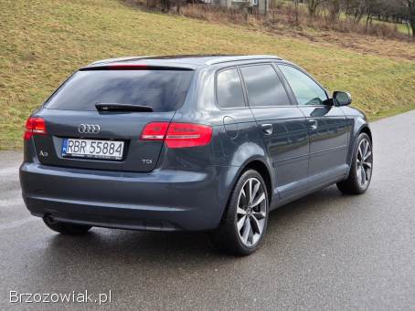 Audi A3 8p Lift Bixenon  2011