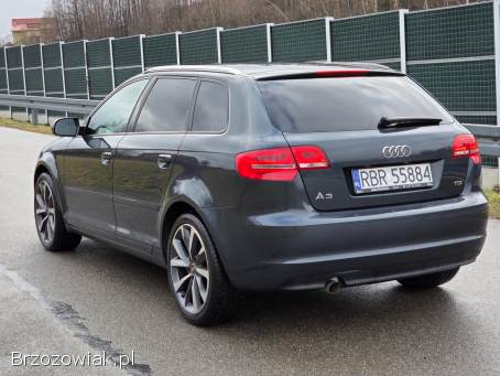 Audi A3 8p Lift Bixenon  2011