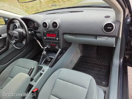 Audi A3 8p Lift Bixenon  2011