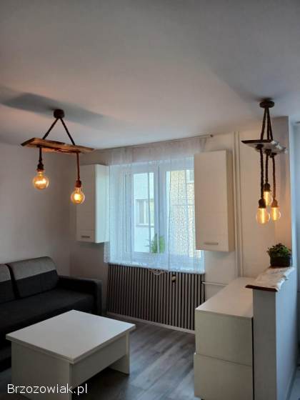Komfortowe mieszkanie do wynajęcia Brzozów ul.  Boczna