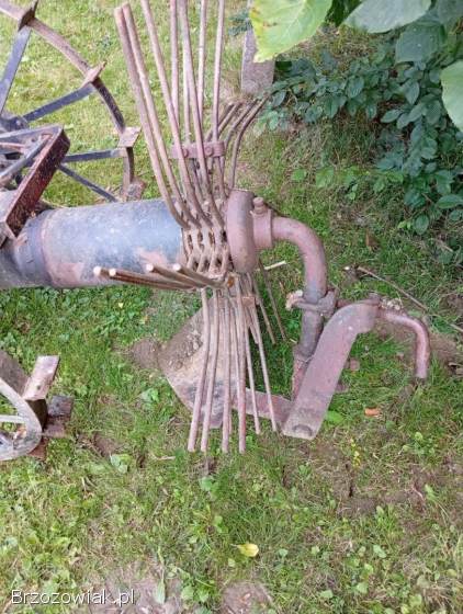 Kopiarka do ziemniaków