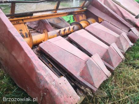 Przystawka do Kukurydzy