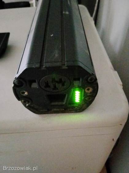 Rower elektryczny Bulls cross lite EVO