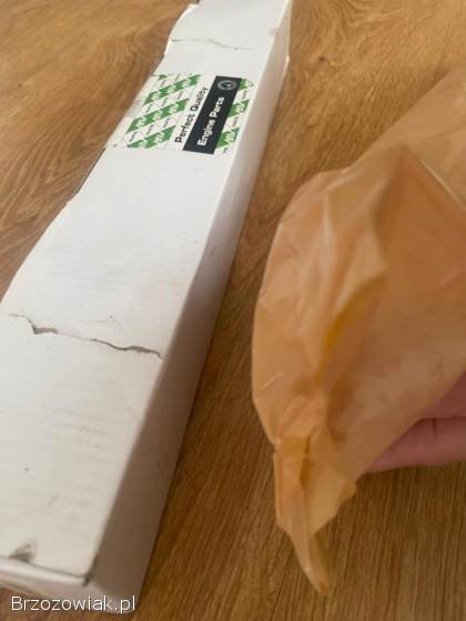 Wałek Rozrządu K3003 VW1.  9TDI