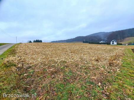 Działka widokowa 41,  89 ar z warunkami zabudowy w Srogowie Górnym