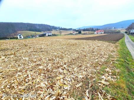 Działka widokowa 41,  89 ar z warunkami zabudowy w Srogowie Górnym