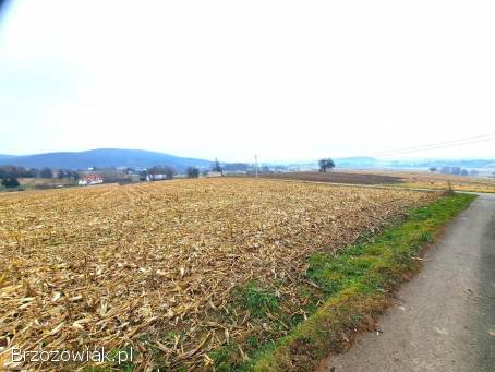 Działka widokowa 41,  89 ar z warunkami zabudowy w Srogowie Górnym