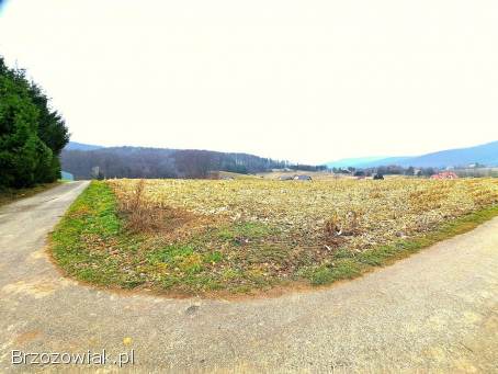 Działka widokowa 41,  89 ar z warunkami zabudowy w Srogowie Górnym