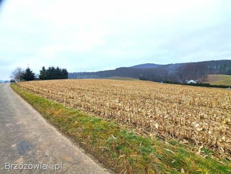 Działka widokowa 41,  89 ar z warunkami zabudowy w Srogowie Górnym